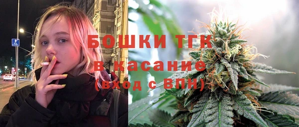 прущие грибы Покровск