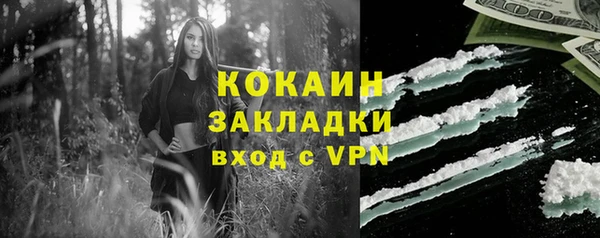 прущие грибы Покровск