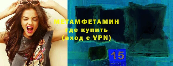 прущие грибы Покровск