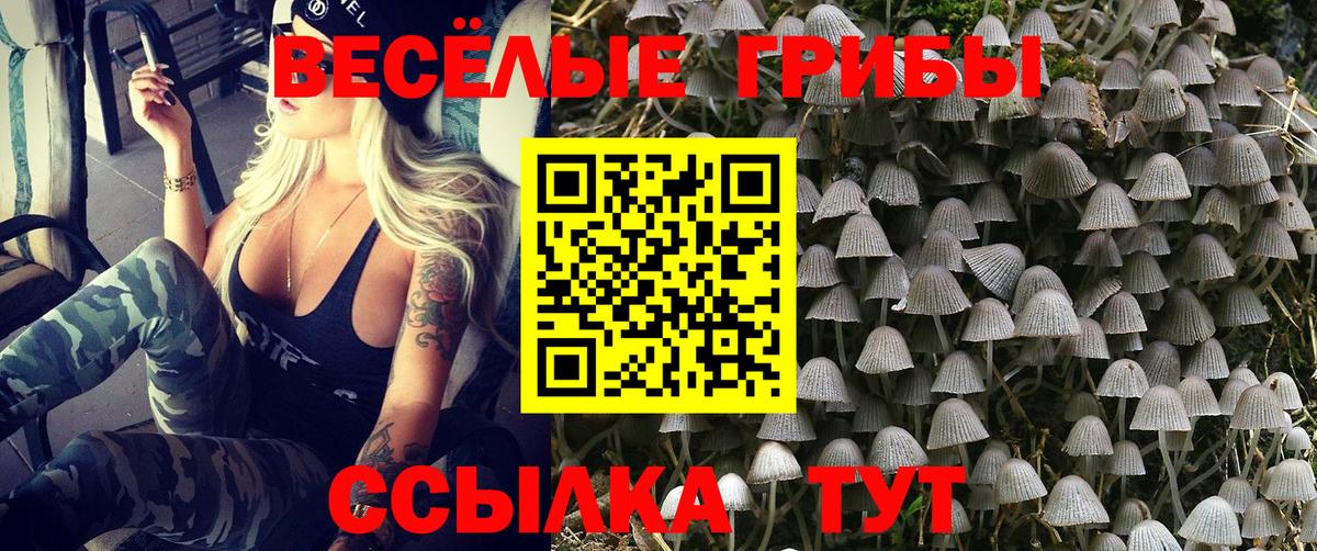 Галлюциногенные грибы мицелий Алапаевск